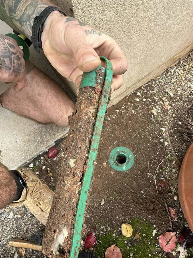 A Person Is Holding A Piece Of Wood In Their Hand — Cantips Pest Control in Albury, NSW