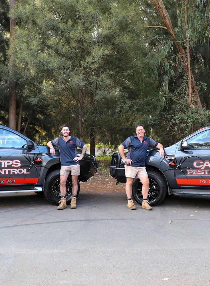 Cantips Pest Control Team And Service Vehicles — Cantips Pest Control in Albury, NSW