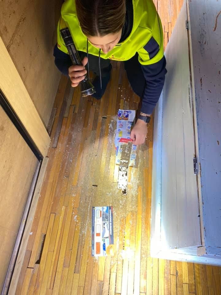 Pest Technician Conducting Termite Inspection — Cantips Pest Control in Albury, NSW