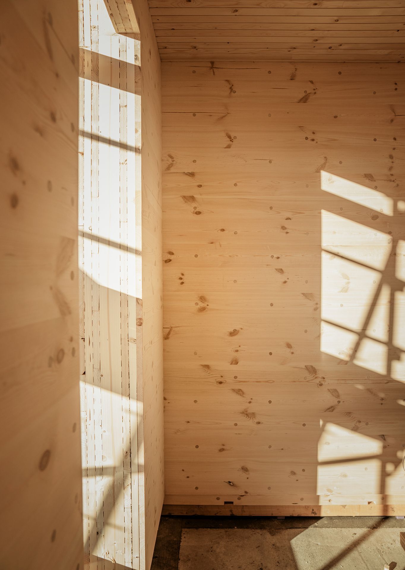 Ein Lichtspiel der Sonne durch ein Fenster, welches nicht im Bild ist. Das Licht fällt  auf zwei Holzwände aus Thoma Holz100