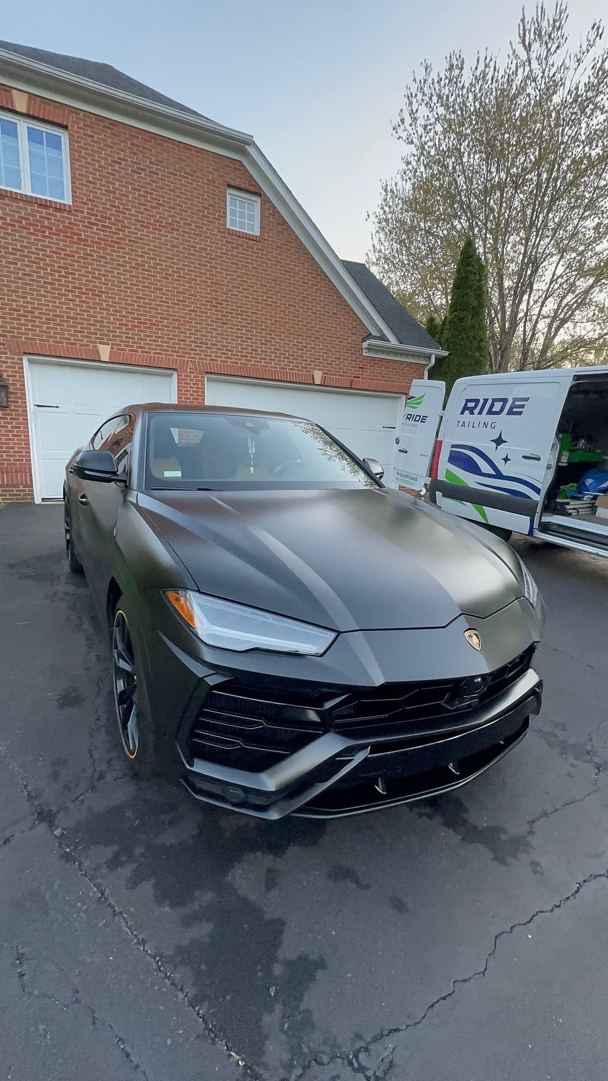 Freshly detailed dark performance vehicle