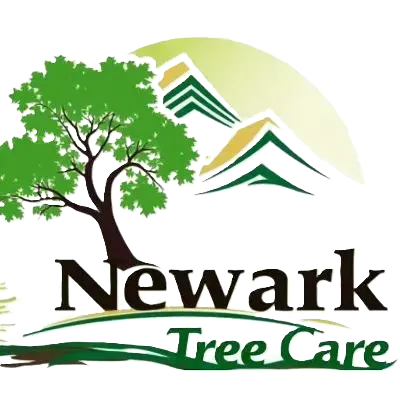 Tree Care Service Company Newark CA