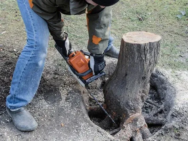 Stump grinding and removal near me
