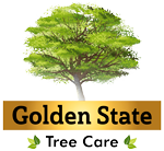 Tree Care Company, Newark CA