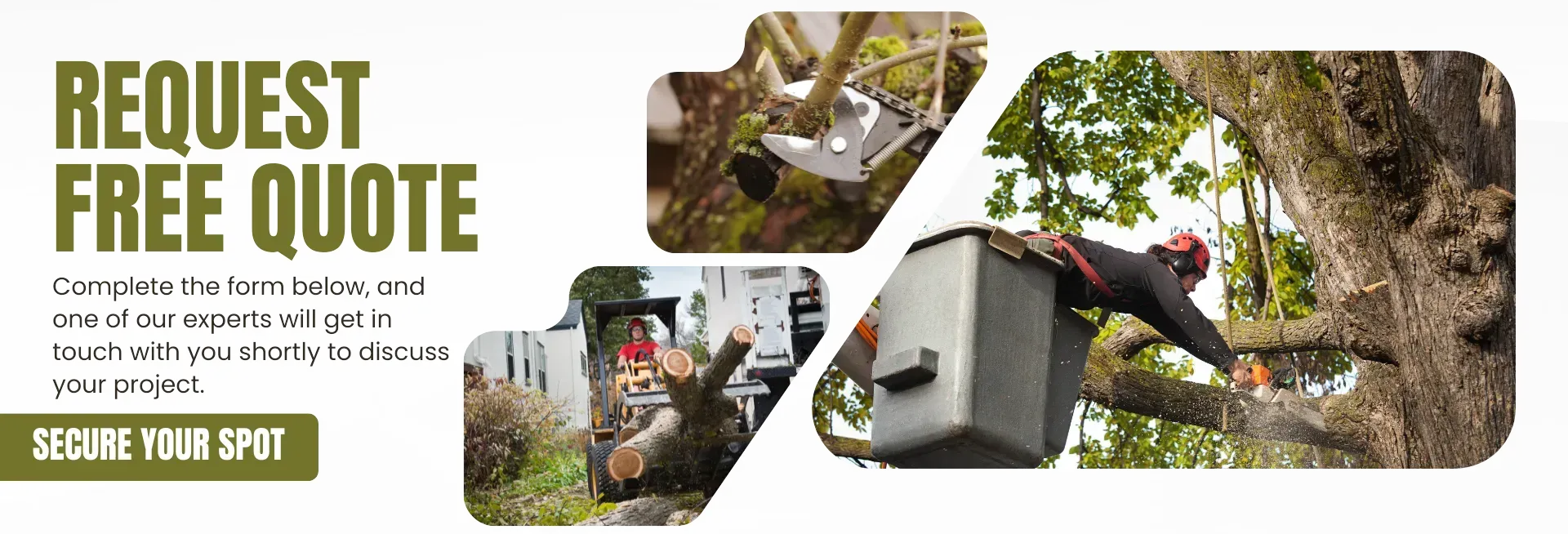 Emergency Tree Removal Near You in Newark, CA, and Surrounding Areas