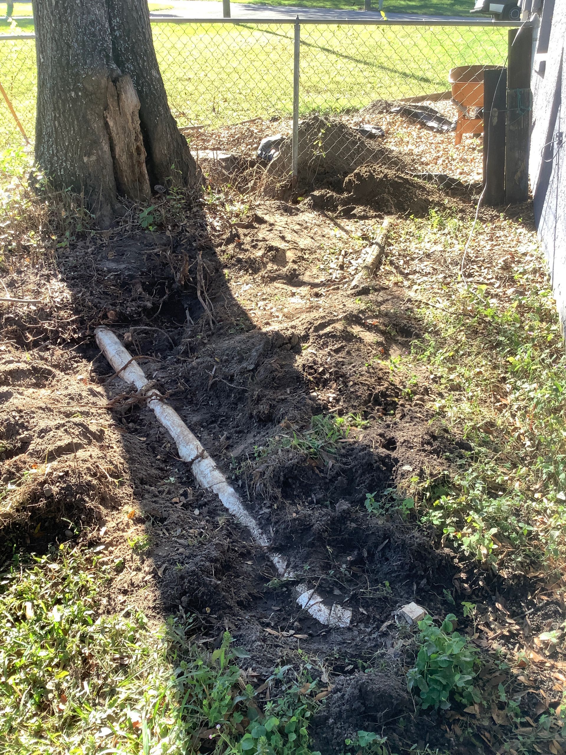 A pipe is laying in the dirt next to a tree.
