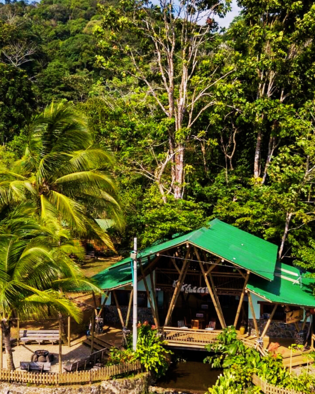 Tropical hut with green roof beside palm trees in lush forest