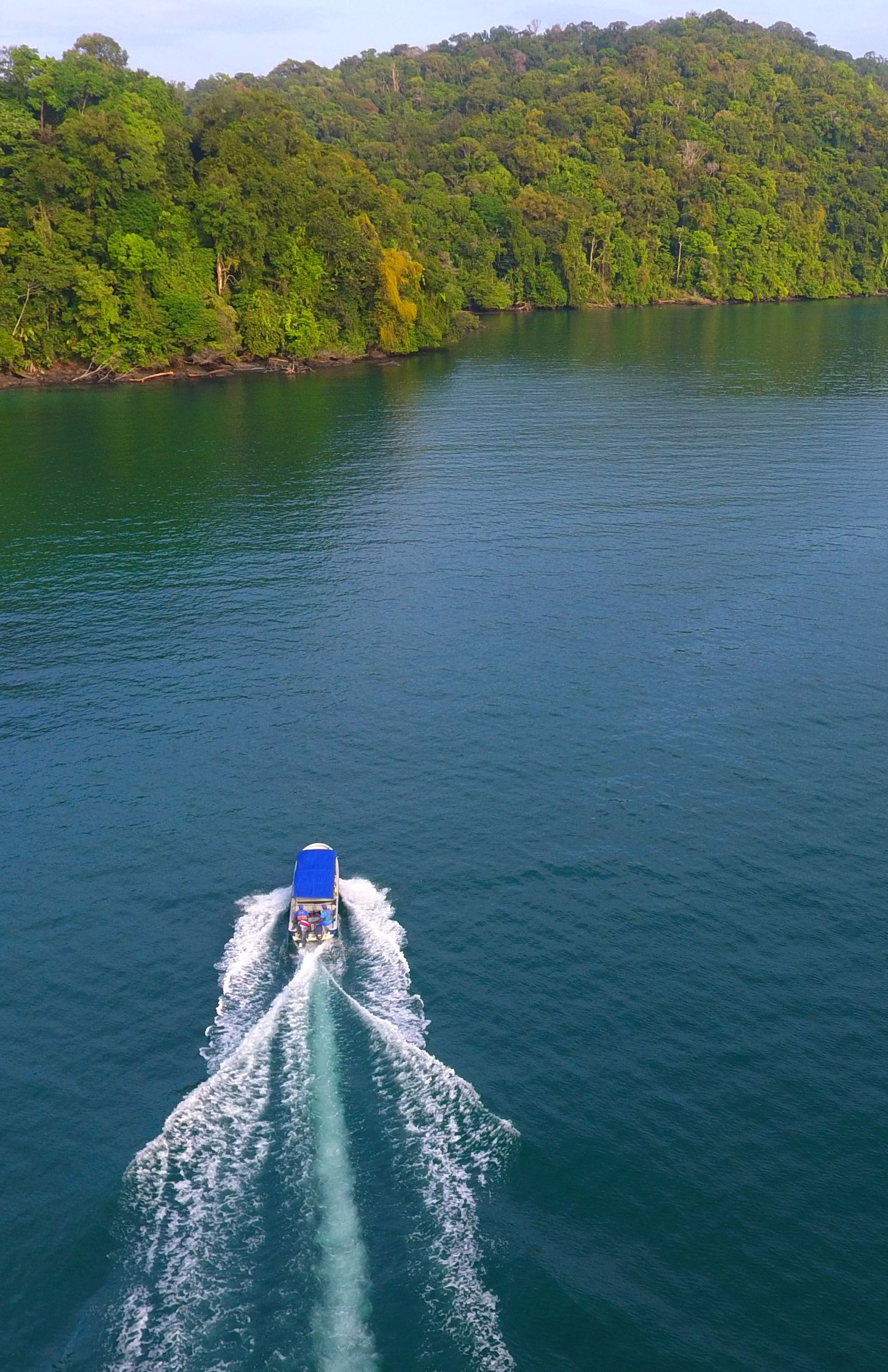 Speedboat cutting through blue water toward a green island shoreline