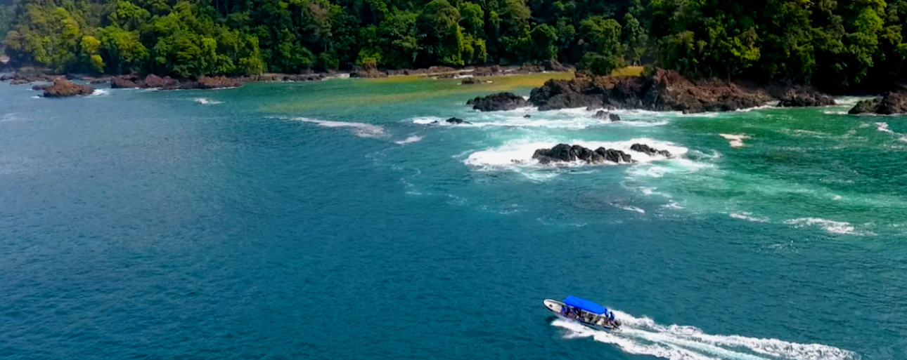 A speedboat cuts across turquoise water near a rocky, tree-lined shoreline.