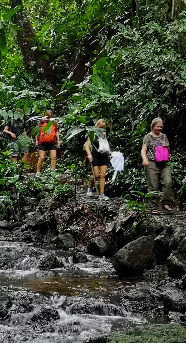 Hikers with backpacks crossing a rocky stream in a lush green जंगल trail