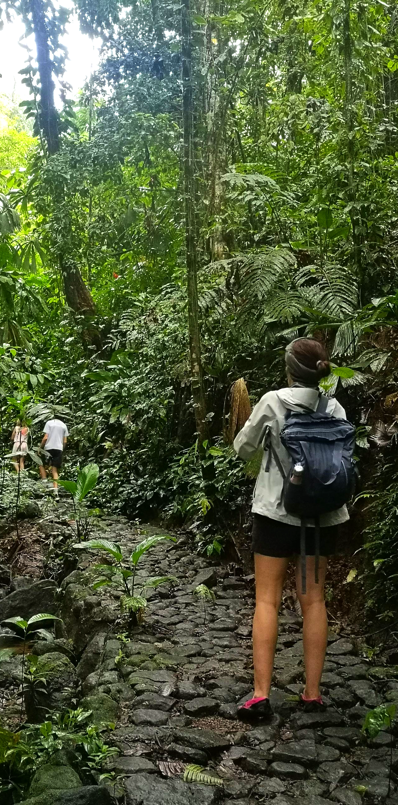 Person with backpack hiking on a narrow forest trail surrounded by lush greenery