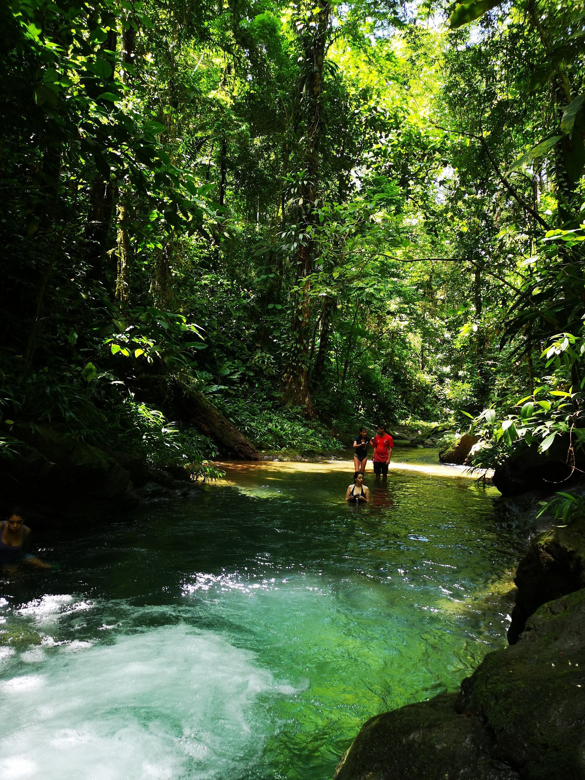 Two people wading in a turquoise river through a lush green forest