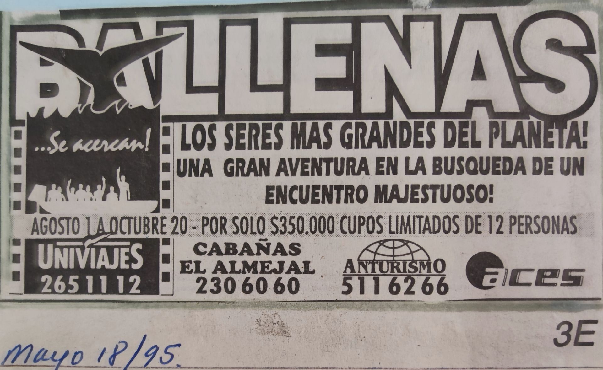 Black-and-white concert poster for Los Bollenas with date, venue, and ticket details.
