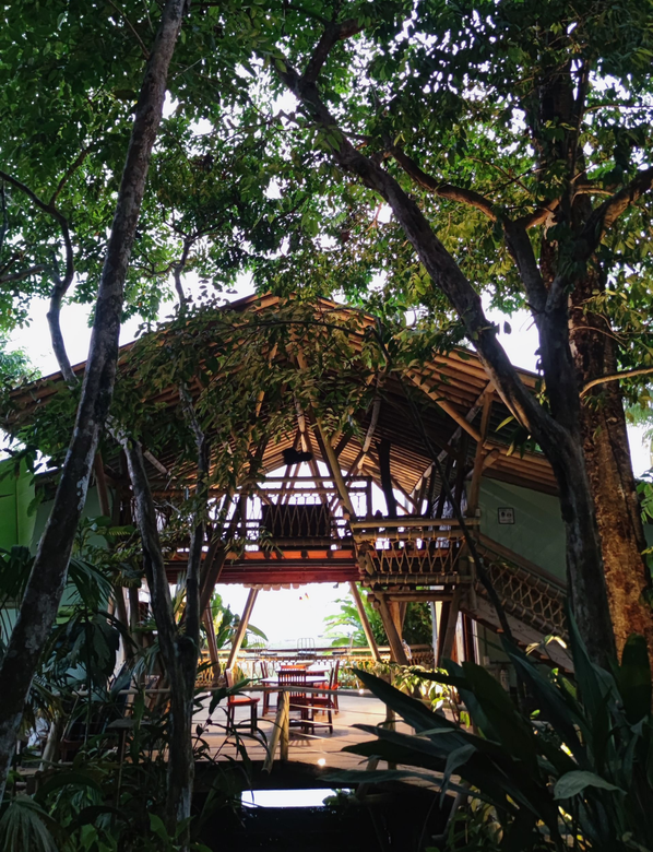 Wooden tropical pavilion among dense trees with a walkway over water