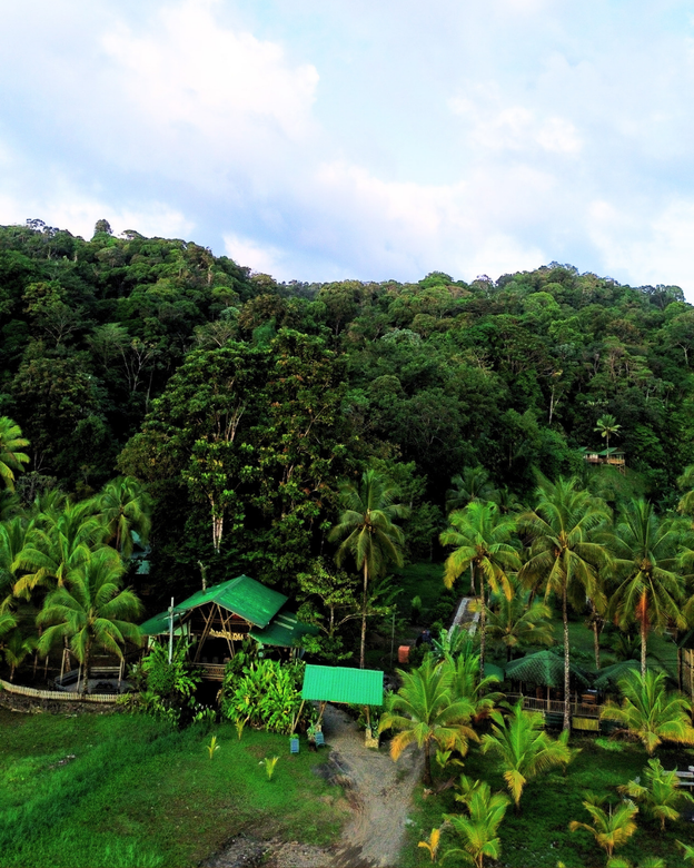 Green-roofed huts in a lush tropical clearing at the edge of a dense forest