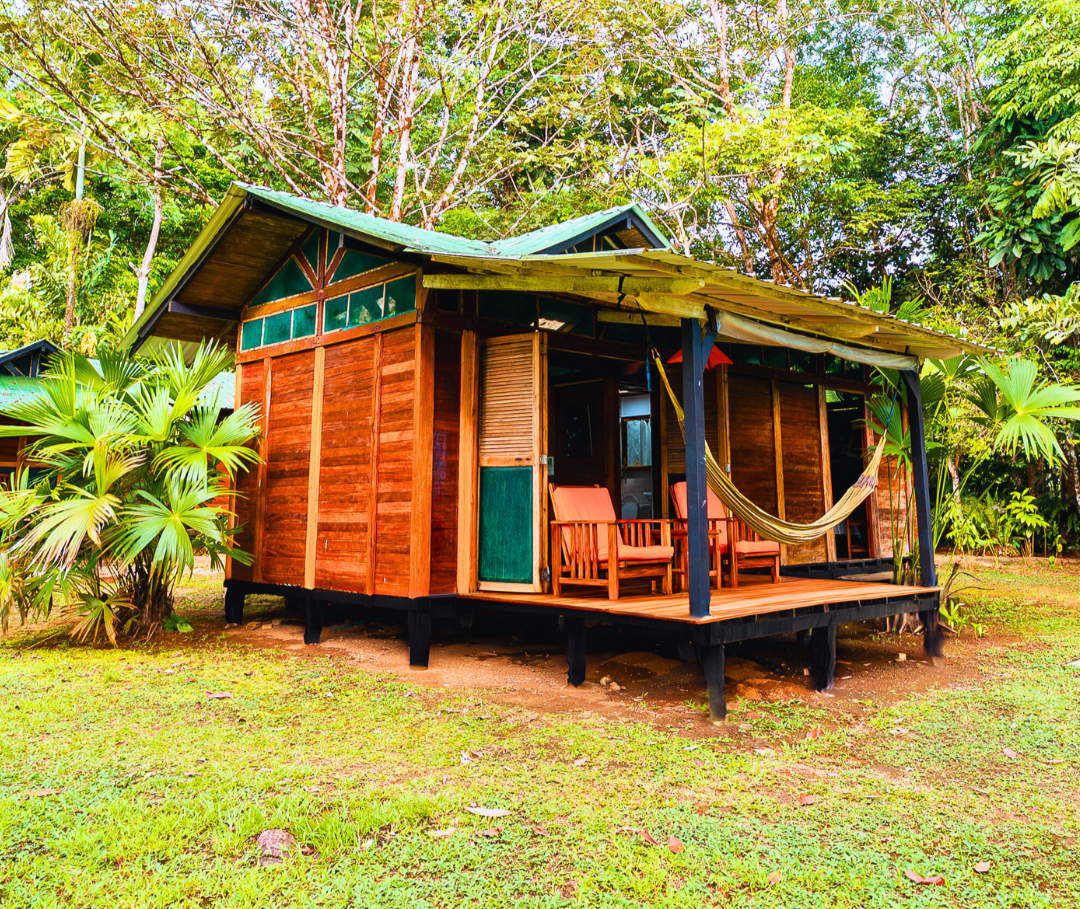 Wooden cabin with a green roof and porch hammock, set among lush tropical trees.