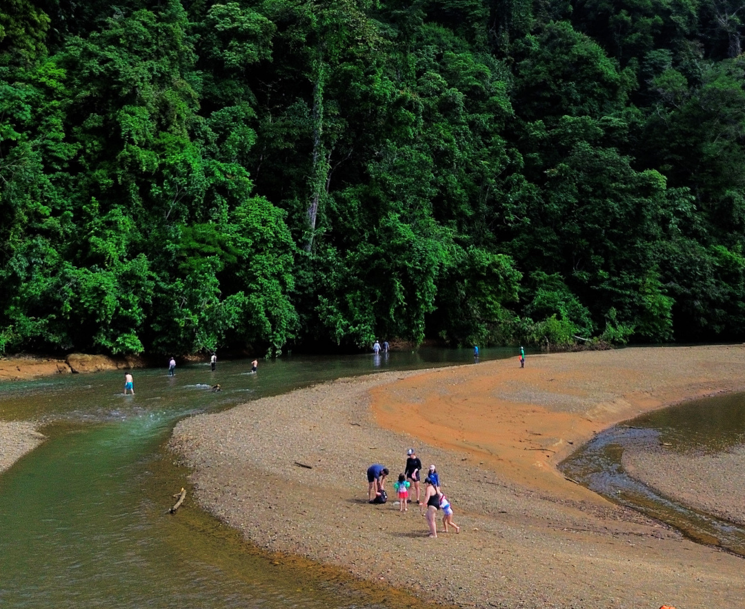 People sitting on a sandy riverbank beside calm water, with dense green forest in the background.