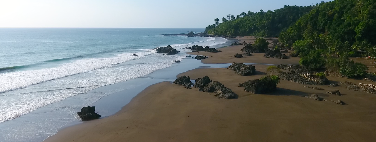 Sunny tropical beach with waves, dark rocks, and palm trees along a curved shoreline