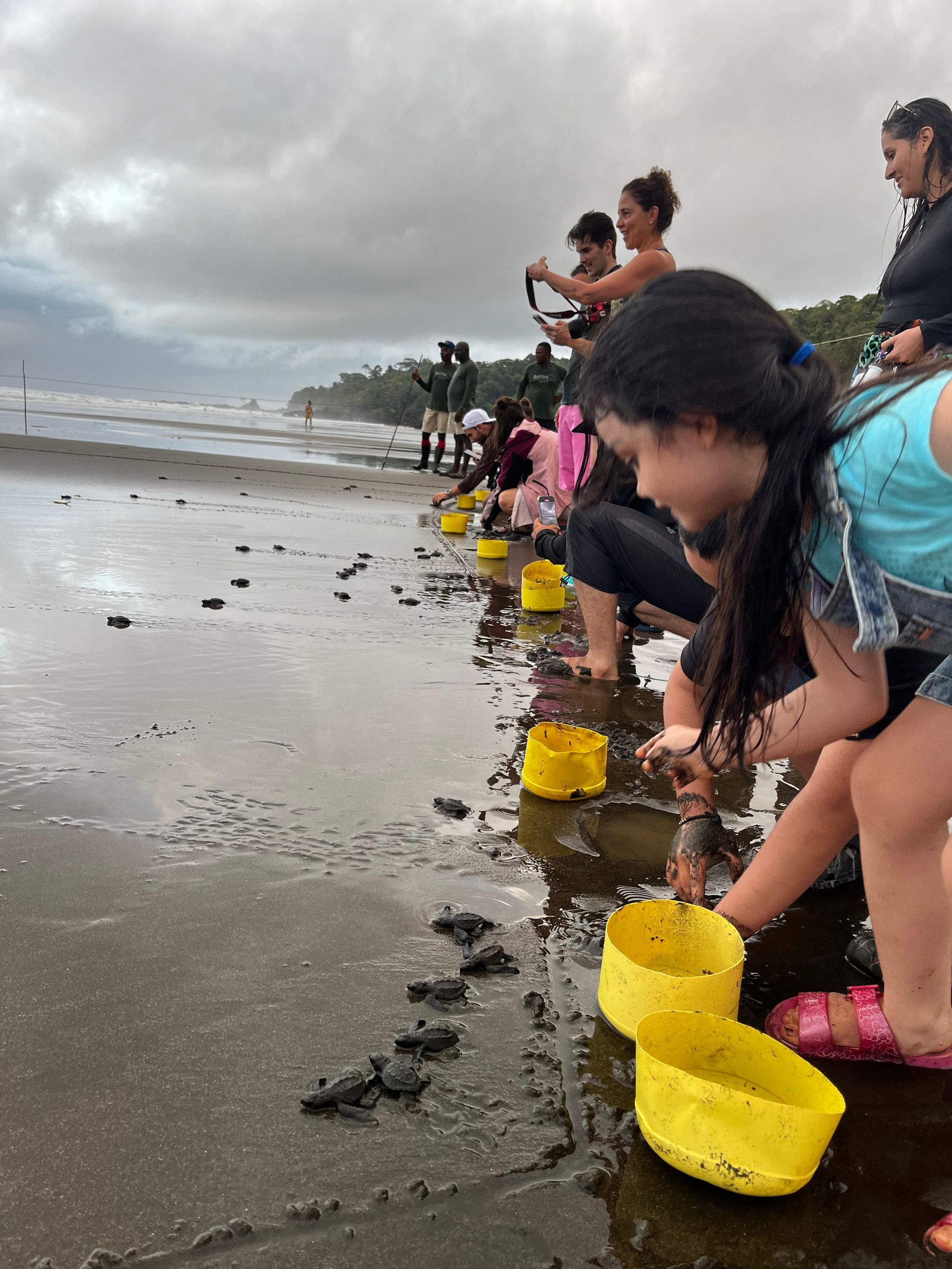 People crouch by a shoreline, collecting small items into yellow buckets along the wet sand.