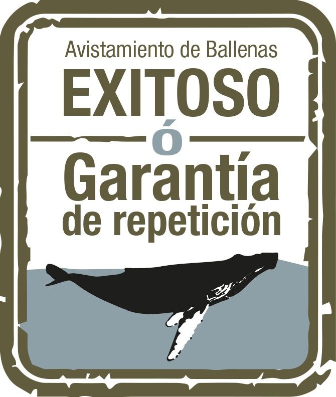 Cartel en español sobre avistamiento de ballenas exitoso, con una ballena negra y texto “Garantía de repetición”.