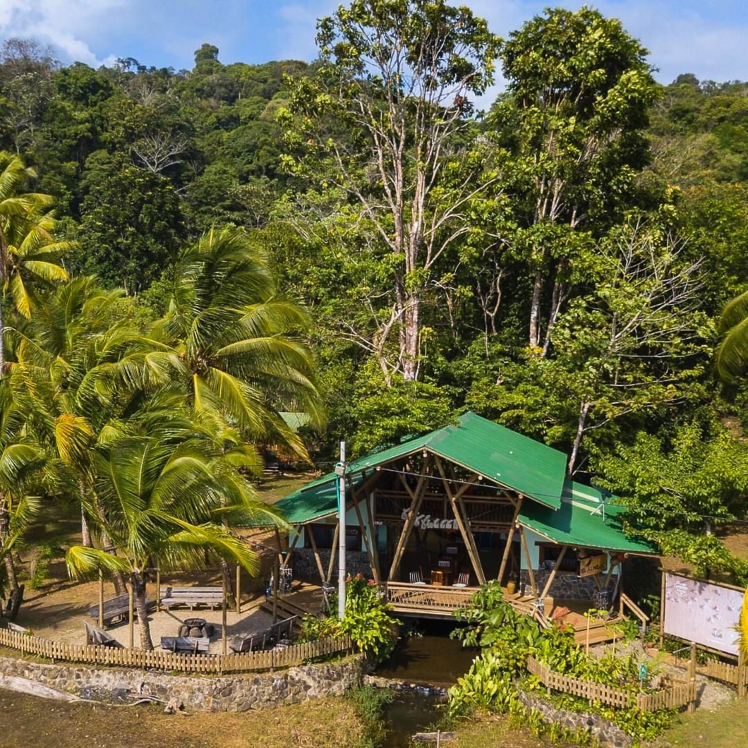 Small green-roofed hut in a lush tropical forest clearing with palm trees and stone seating area