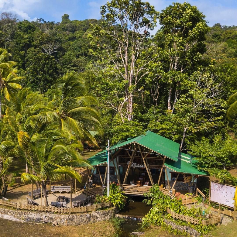Small green-roofed hut in a lush tropical forest clearing with palm trees and stone seating area