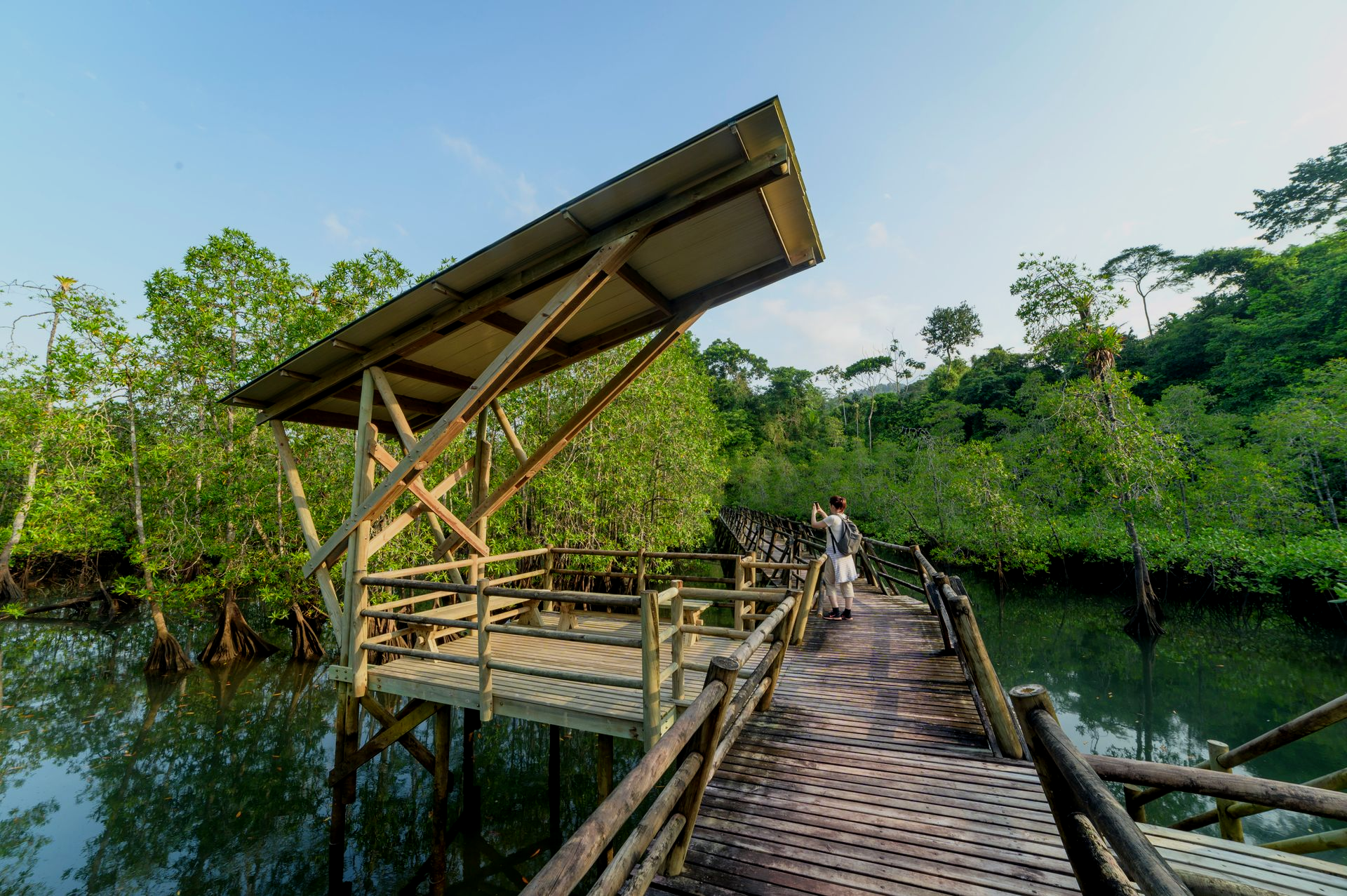 Wooden boardwalk through a lush mangrove swamp, with a small shelter and raised walkway under a cloudy sky