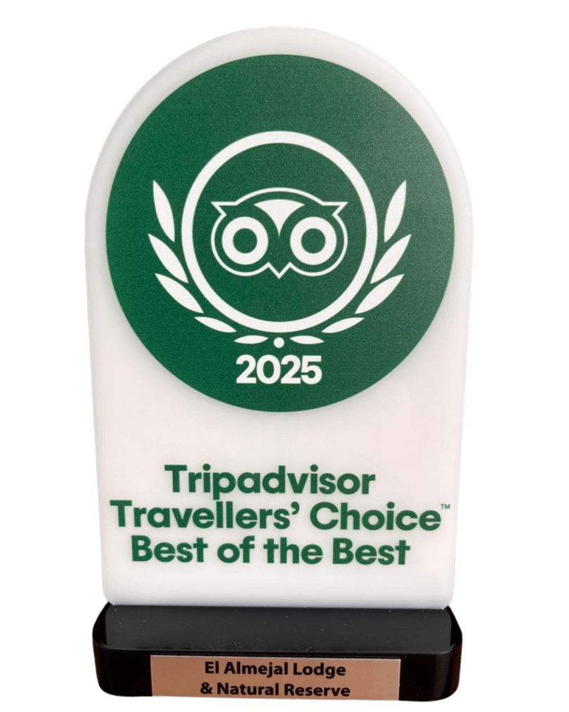 Tripadvisor Travelers’ Choice Best of the Best 2025 award trophy with green owl logo