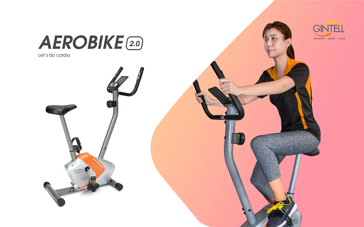 Exercise Equipment Gintell Elliptical Bike Ganas Fitness Indoor