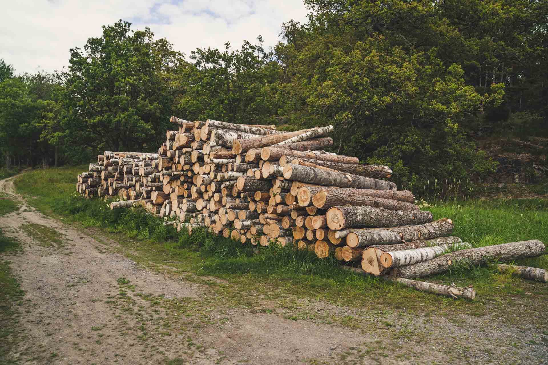 A pile of logs is sitting on the side of a dirt road.
