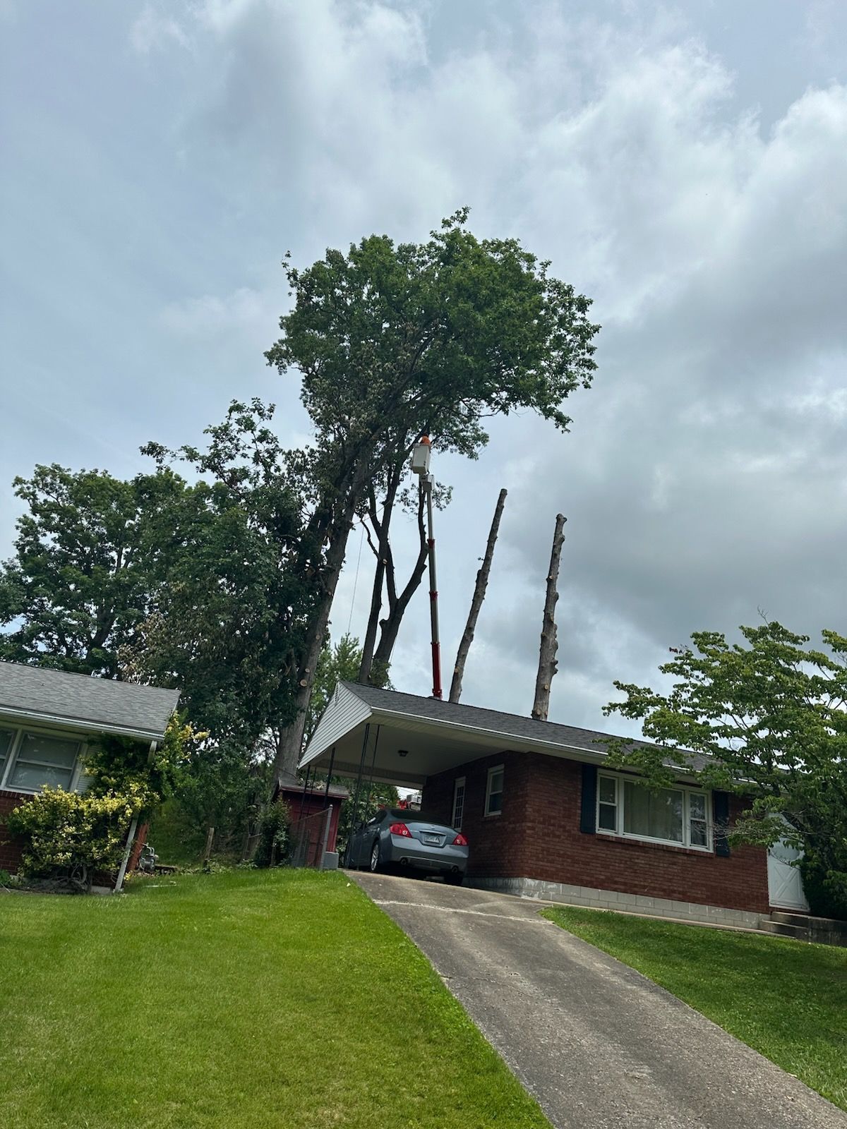A tree has fallen on top of a brick house.