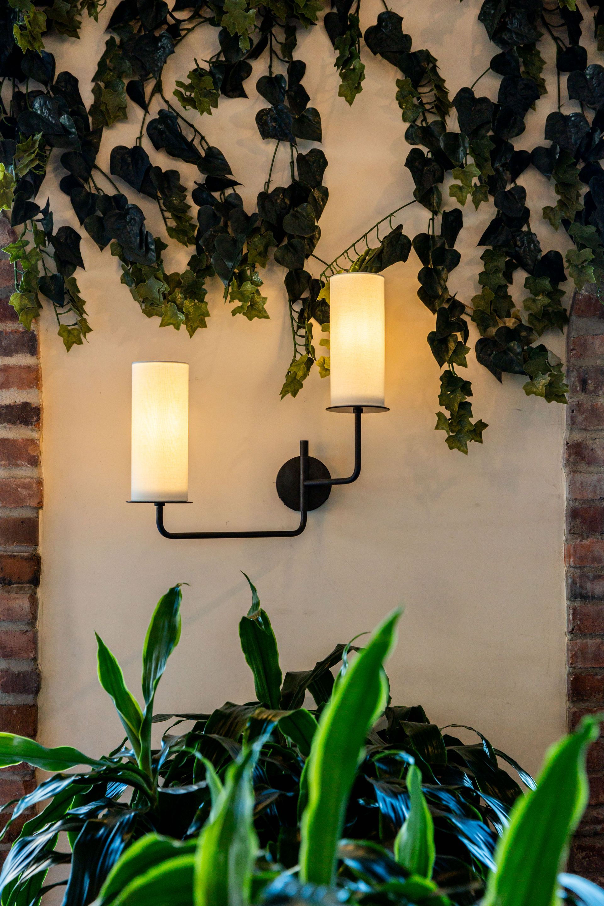 Two glowing sconce lights on cream-colored wall, with green vines above and leafy plants below.