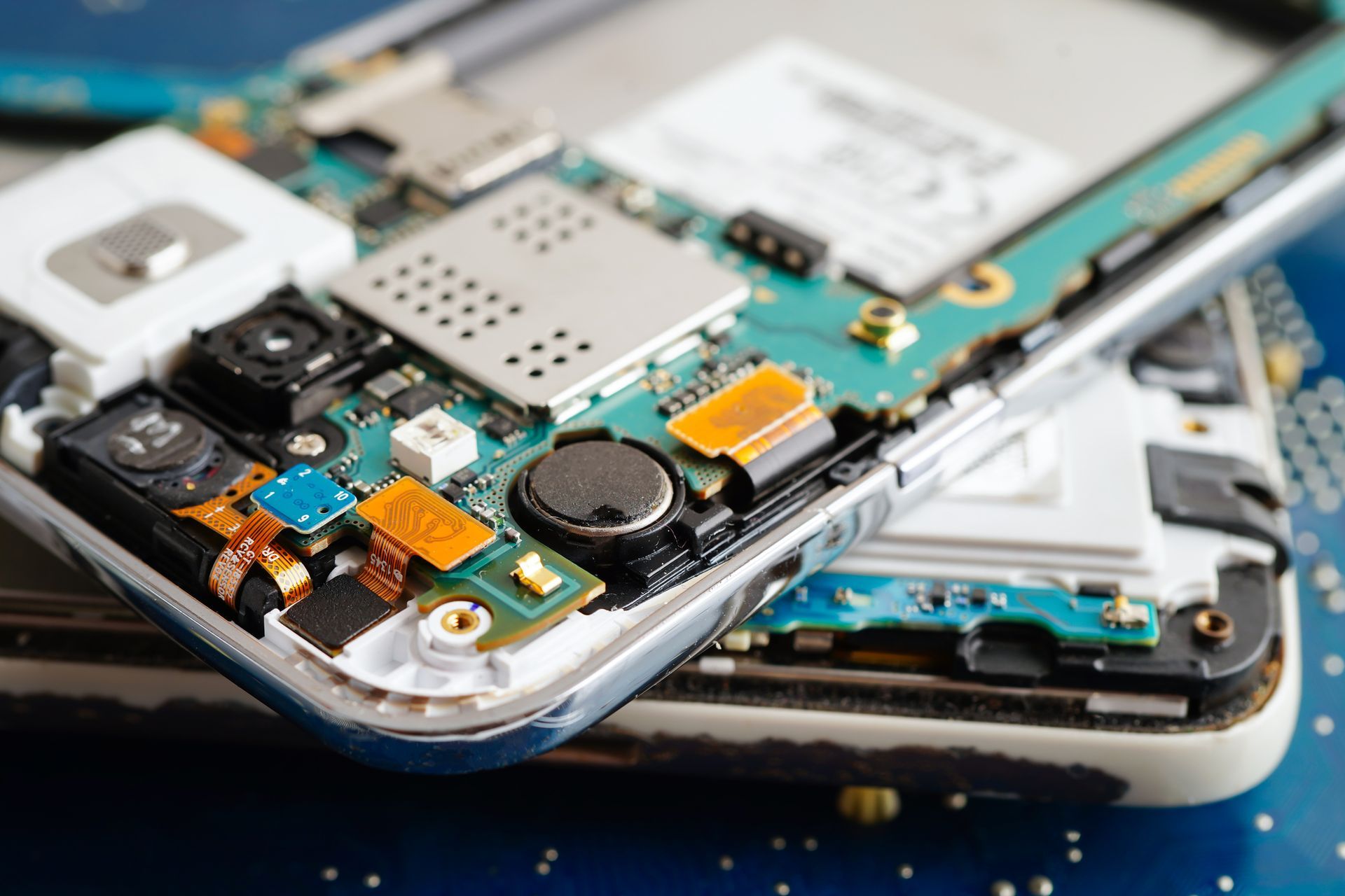riparazione cellulare