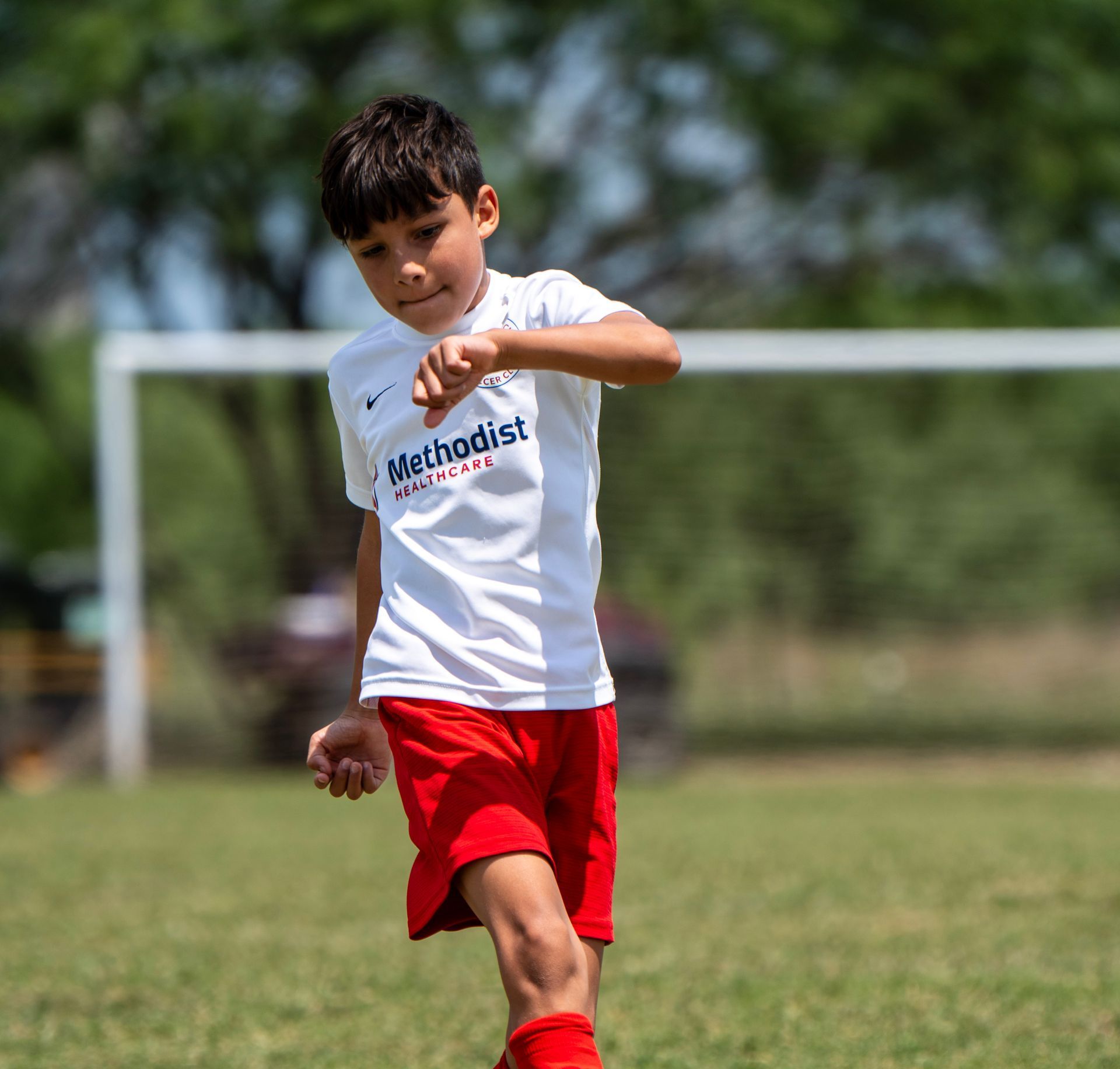 Logo for San Antonio City Soccer Club