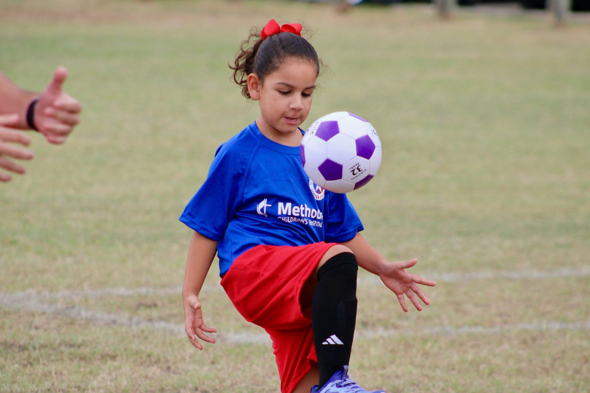 Logo for San Antonio City Soccer Club