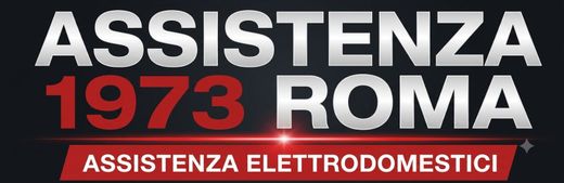 Logo per “Assistenza 1973 Roma” con testo bianco e rosso su sfondo nero, più banner “Assistenza elettrodomestici”.