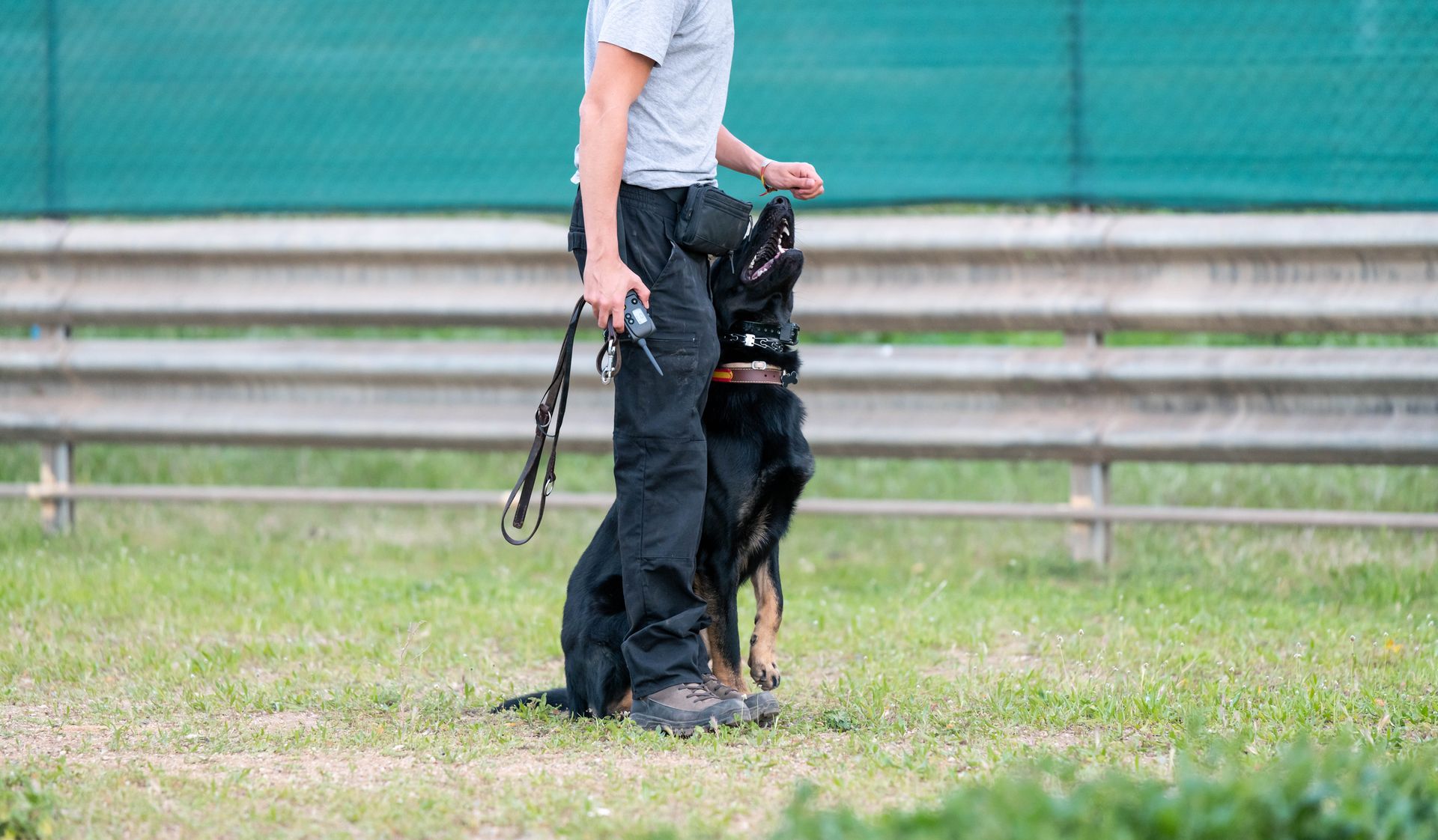 A man is standing next to a german shepherd dog on a leash.