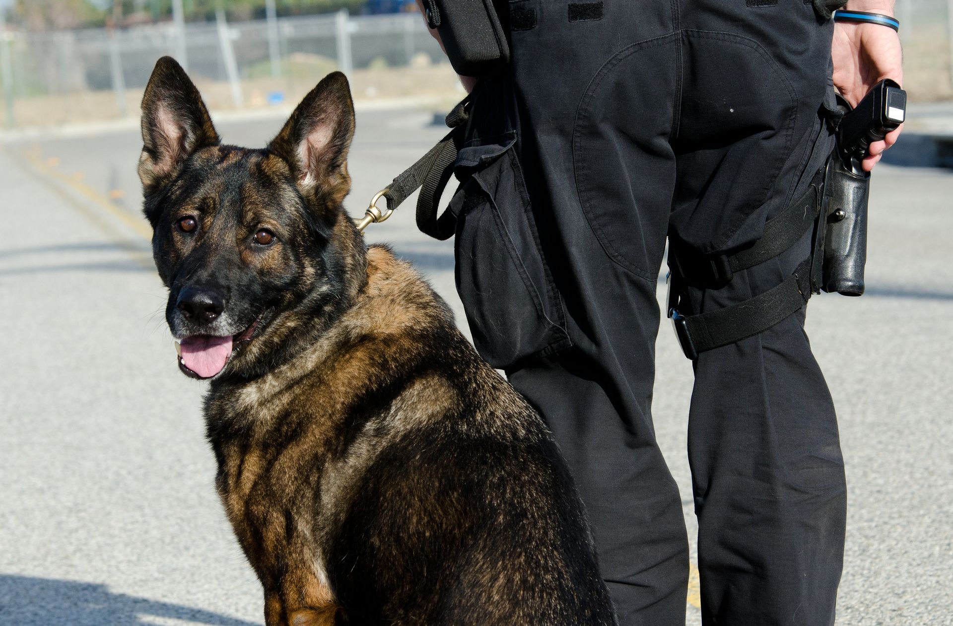A police officer standing next to a german shepherd dog