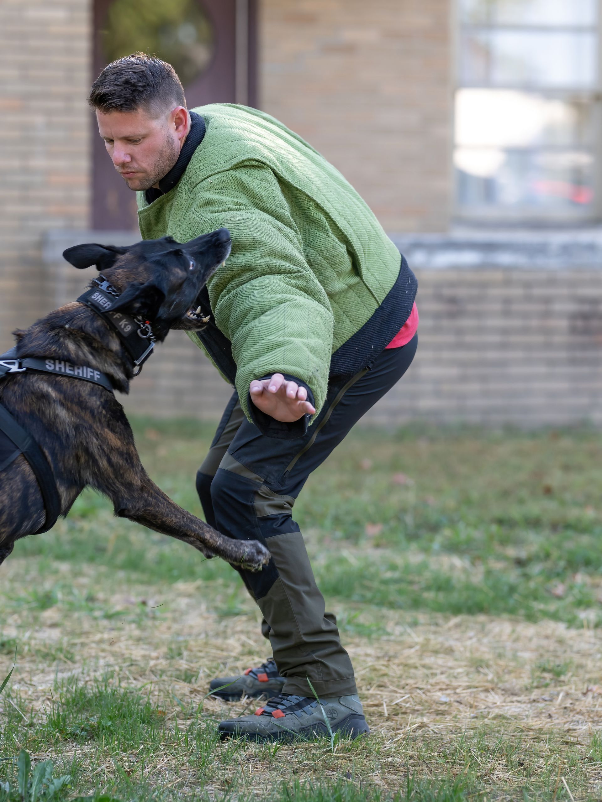 A man in a green jacket is playing with a dog.