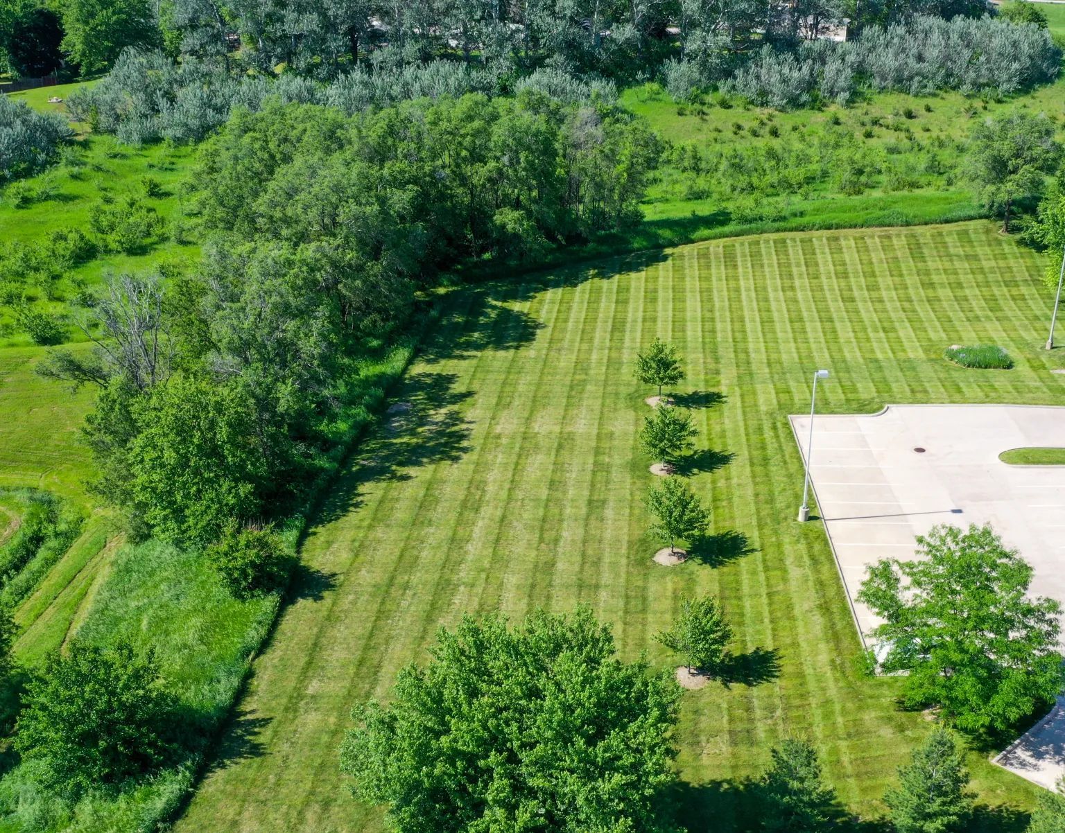 lawn fertilization