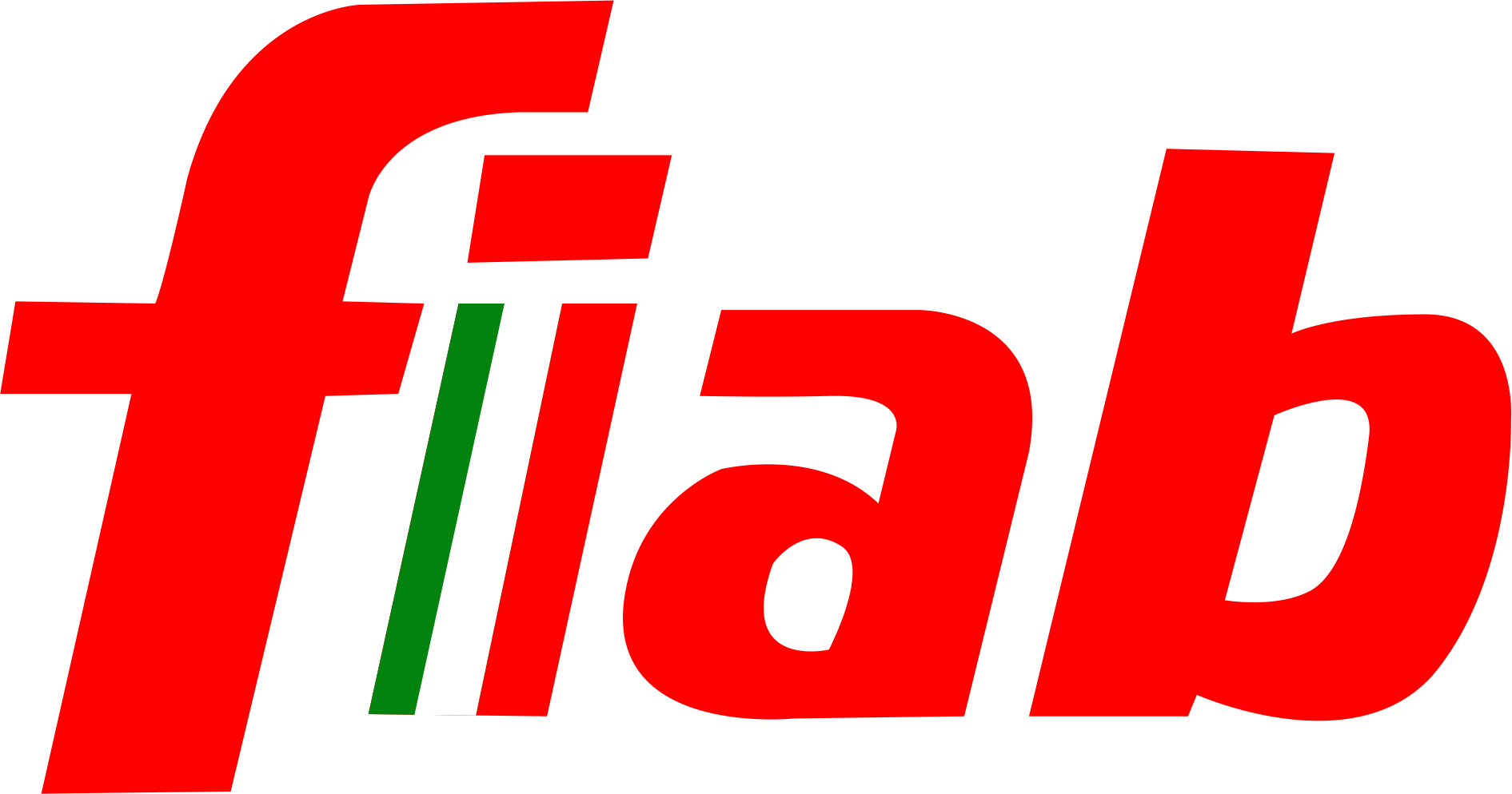 Logo Fiab Bagno