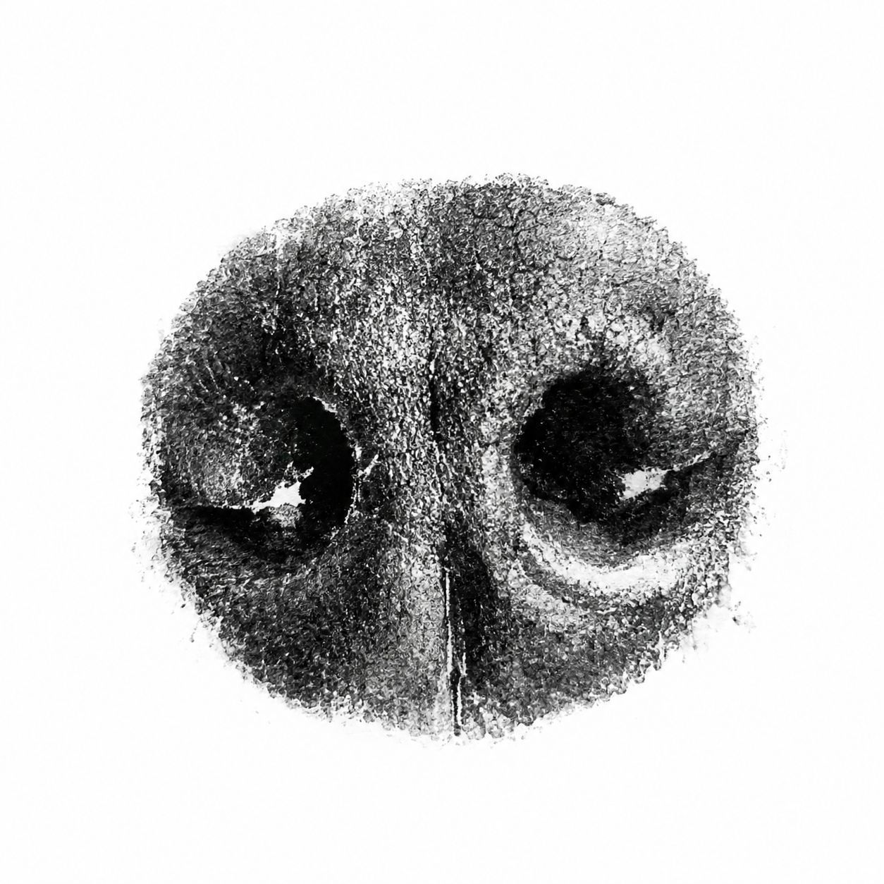 Digital Nose Print Smudge