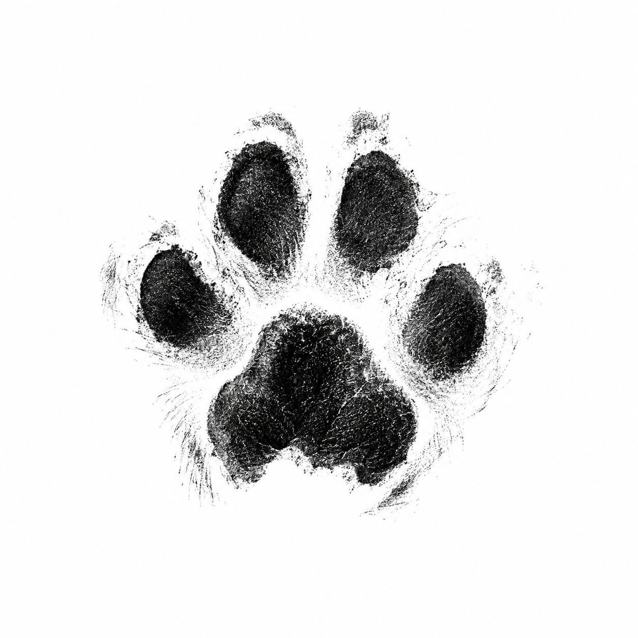 Digital Paw Print Smudge