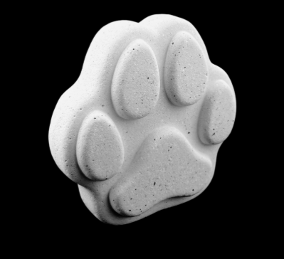 Paw Print