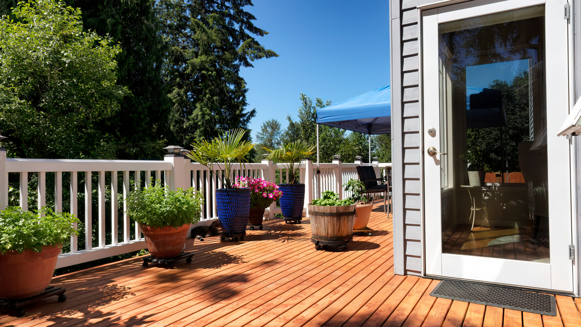 Wooden deck with potted plants, white railing, and glass door, on a sunny day.