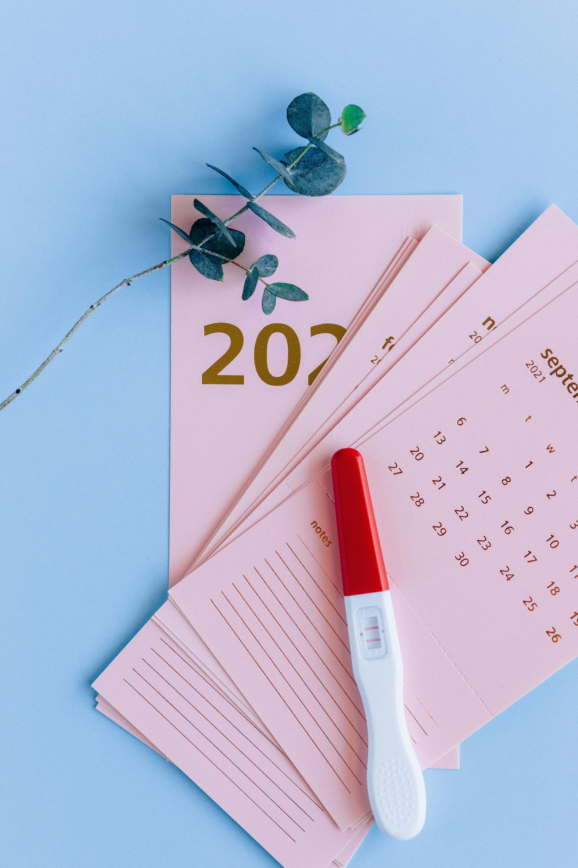 Pink calendar with 2023, eucalyptus branch, and positive pregnancy test on a blue background.