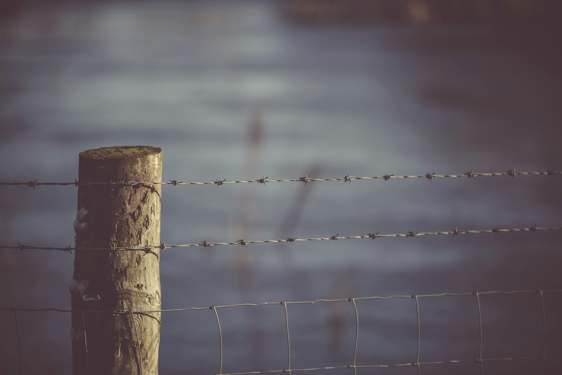 Wooden fence post with barbed wire in front of a blurry, dark road.