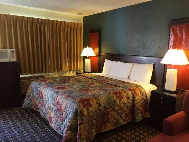 Hotel room with a king bed, floral bedspread, bedside lamps, and dark blue walls
