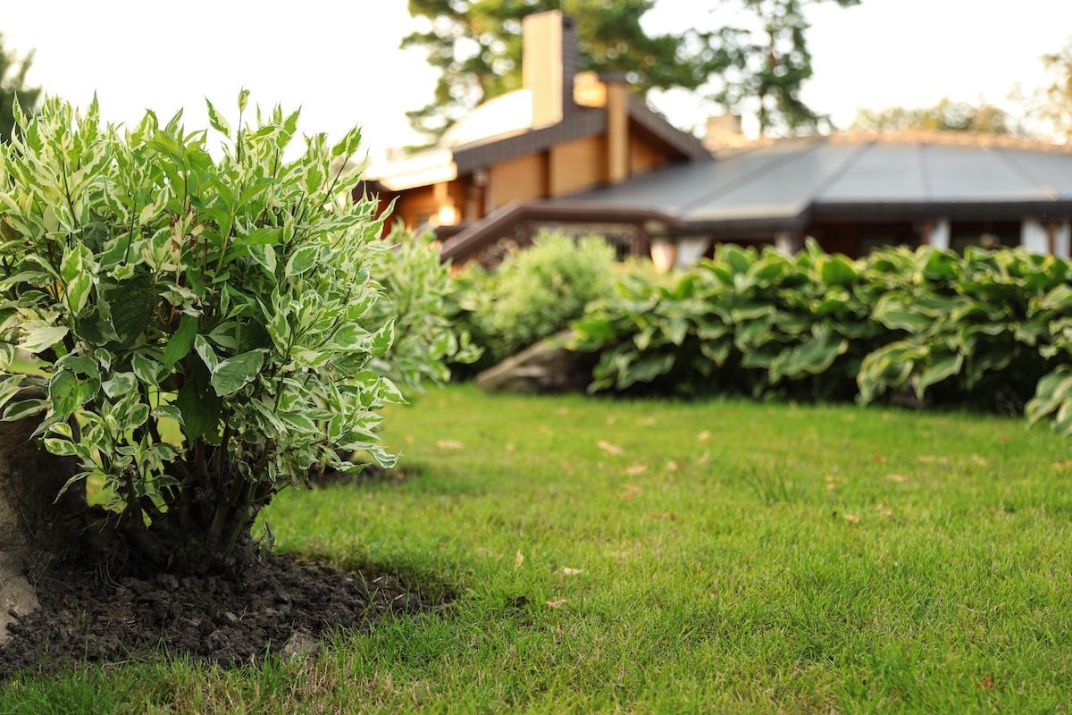 Can a Nice Front Yard Increase the Value of Your Central Missouri Real Estate?