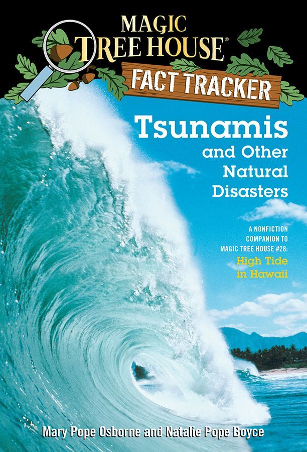 Tsunamis and Other Natural Disasters